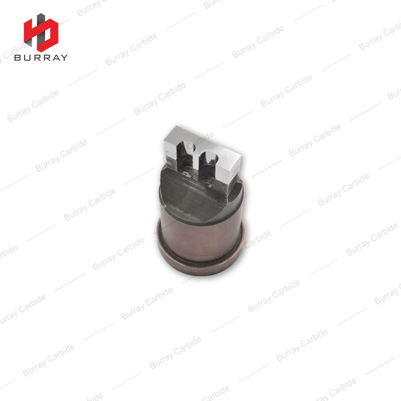 32x10x4-R3 Tungsten Carbide Customized Mold 